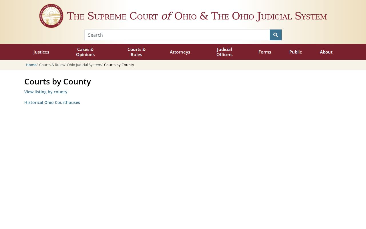 Lorain County case search Ohio trial courts directory