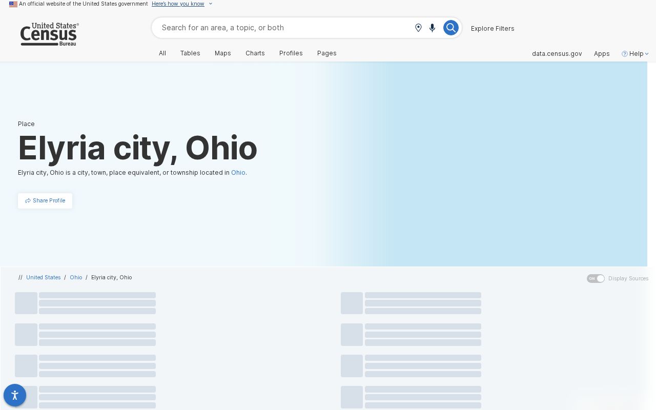 Elyria court docket city population records context
